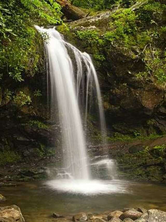 Exploring The Enchanting Grotto Falls Trail In The Smoky Mountains ...