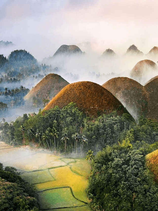 Have you seen Chocolate Hills in real life?