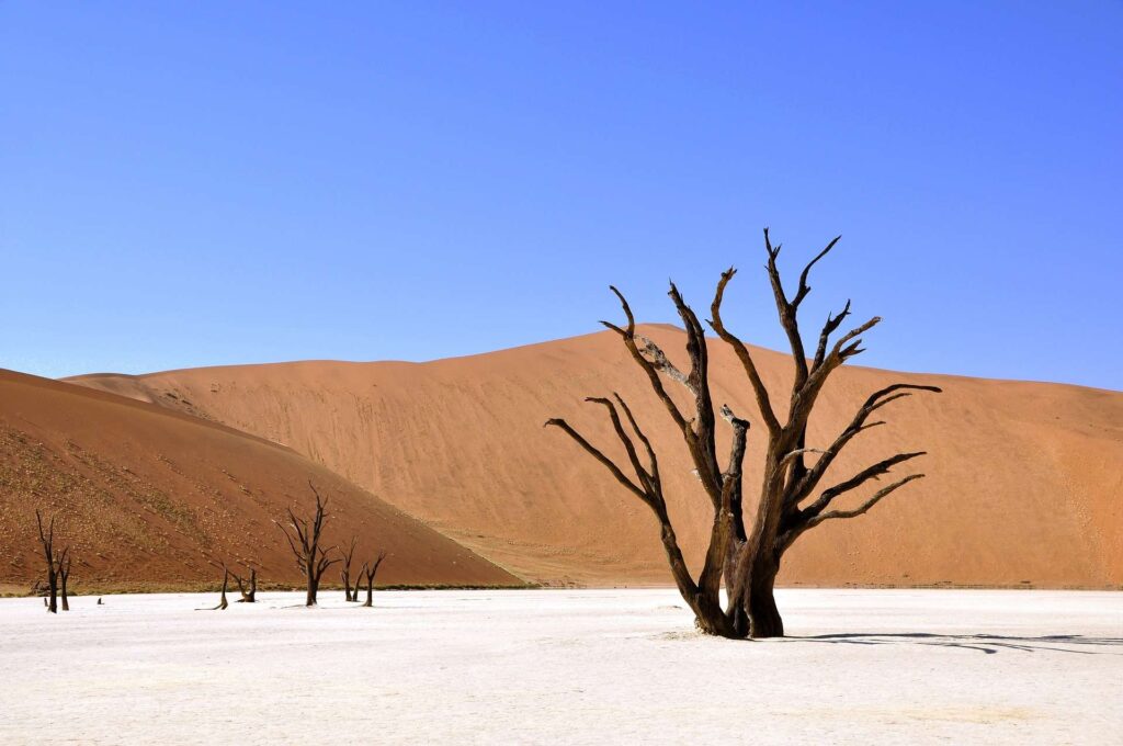 Sossusvlei