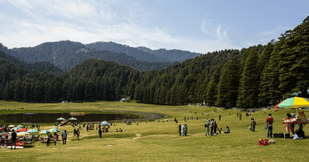 himachal pradesh, india, and forest in Khajjiar, Dalhousie