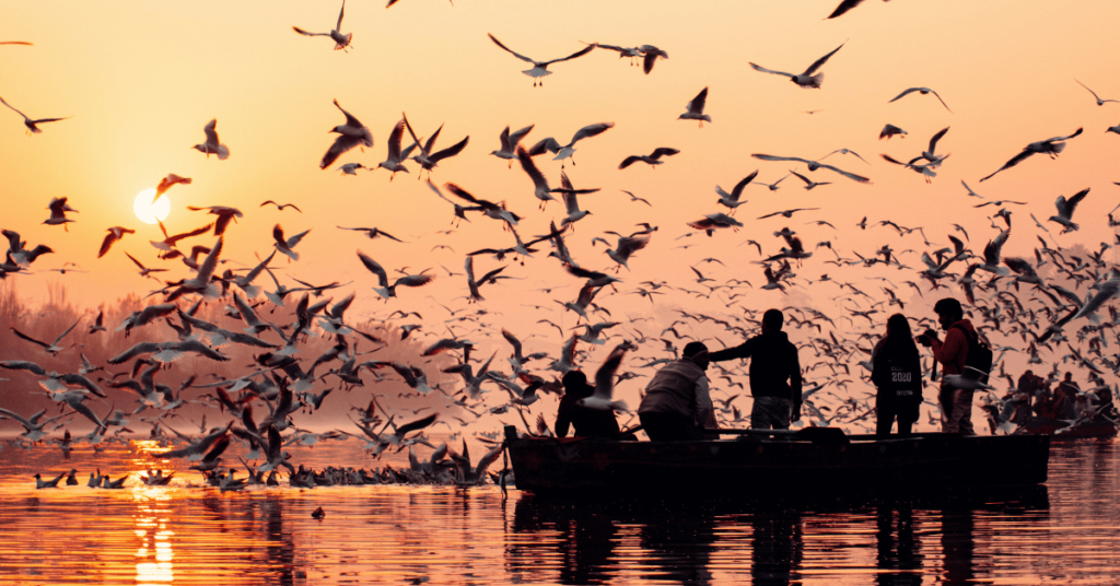 Ultimate Guide To Exploring Delhi Yamuna Ghat » Worldz Explore