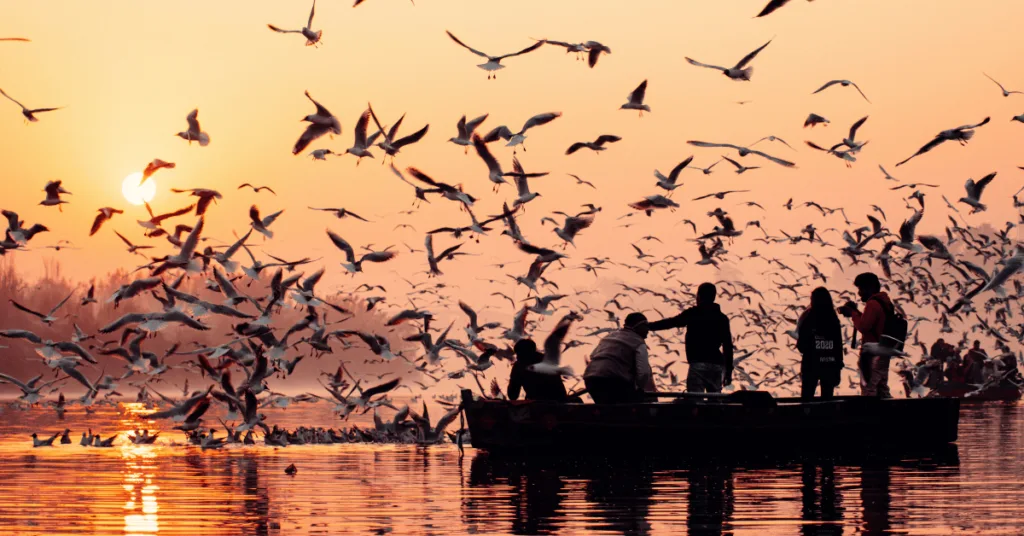 Best Time to Visit Delhi Yamuna Ghat sunset view Delhi Yamuna Ghat