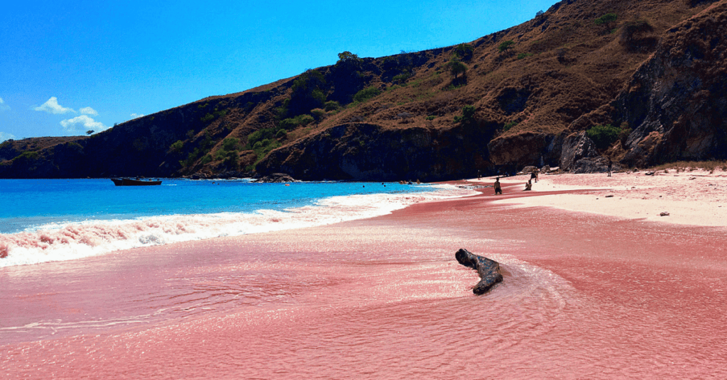 Pink Beach Komodo Island: Your Ultimate Travel Guide in Indonesia