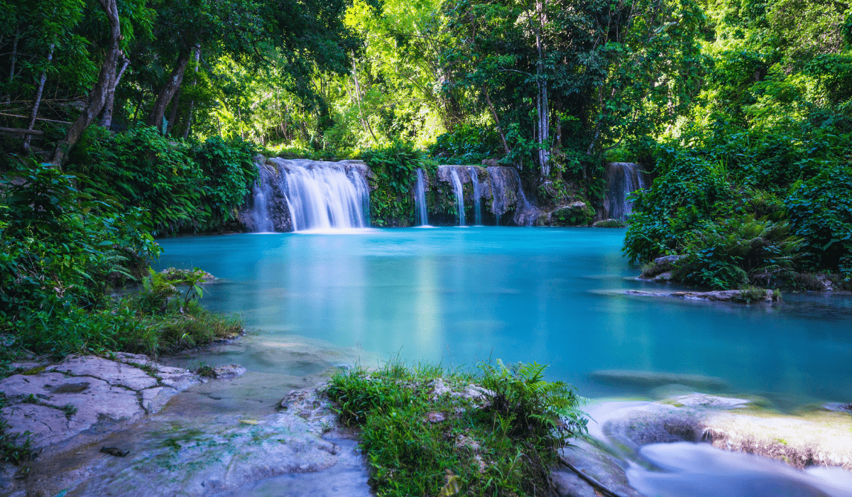 A serene view of Cambugahay Falls in Siquijor, Philippines, showcasing multiple cascading waterfalls surrounded by lush green foliage. The clear turquoise water forms a calm natural pool, reflecting the surrounding dense forest and adding to the tranquil ambiance of the scene. The area is peaceful, with sunlight filtering through the trees, enhancing the natural beauty of the falls.