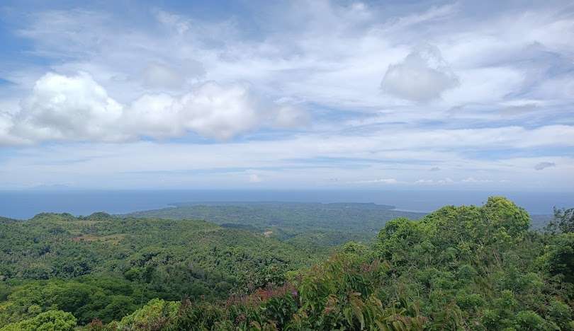 Mt. Bandilaan National Park