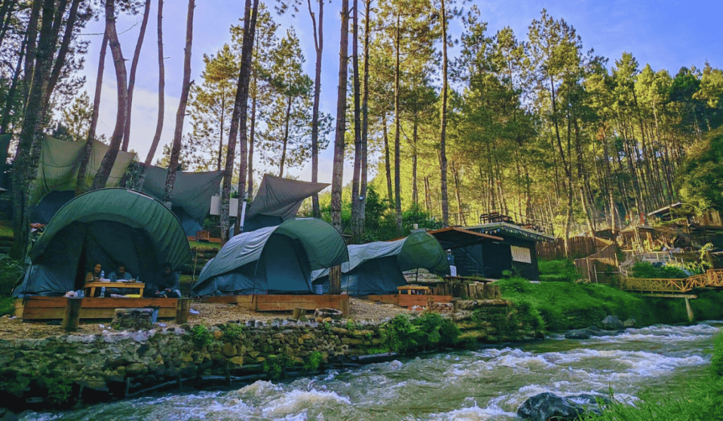 The image showcases a scenic riverside Talaga Pineus Camp site nestled among tall pine trees. There are several green tents set up on elevated wooden platforms along a flowing river. Campers are visible inside some of the tents, enjoying the tranquil forest environment. The tents are well-spaced, providing privacy and an immersive natural experience. The area appears well-maintained, with a mix of natural greenery and constructed pathways. The sunlight filtering through the trees adds a warm, inviting glow, enhancing the peaceful and serene atmosphere of the campsite