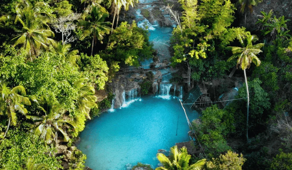 Why is Cambugahay Falls Famous And History Aerial view of a vibrant blue waterfall Cambugahay Falls surrounded by lush green tropical forest. The water cascades into a serene pool below, flanked by dense foliage and trees that suggest a secluded natural paradise