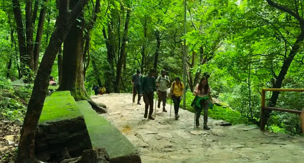 A group of trekkers hiking up a wide stone-paved trail through a lush green forest, surrounded by tall trees with dense foliage and moss-covered rocks, typical of the Valley of Flowers trek in Uttarakhand, India. The hikers are using walking sticks and carrying backpacks, moving along the shaded path on a misty day.