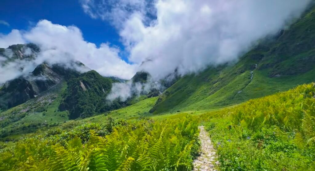 Scenic mountain valley during the Valley of Flowers trek, showing a narrow stone path winding through vibrant green ferns and meadows beneath misty Himalayan peaks partially covered by clouds under a clear blue sky.